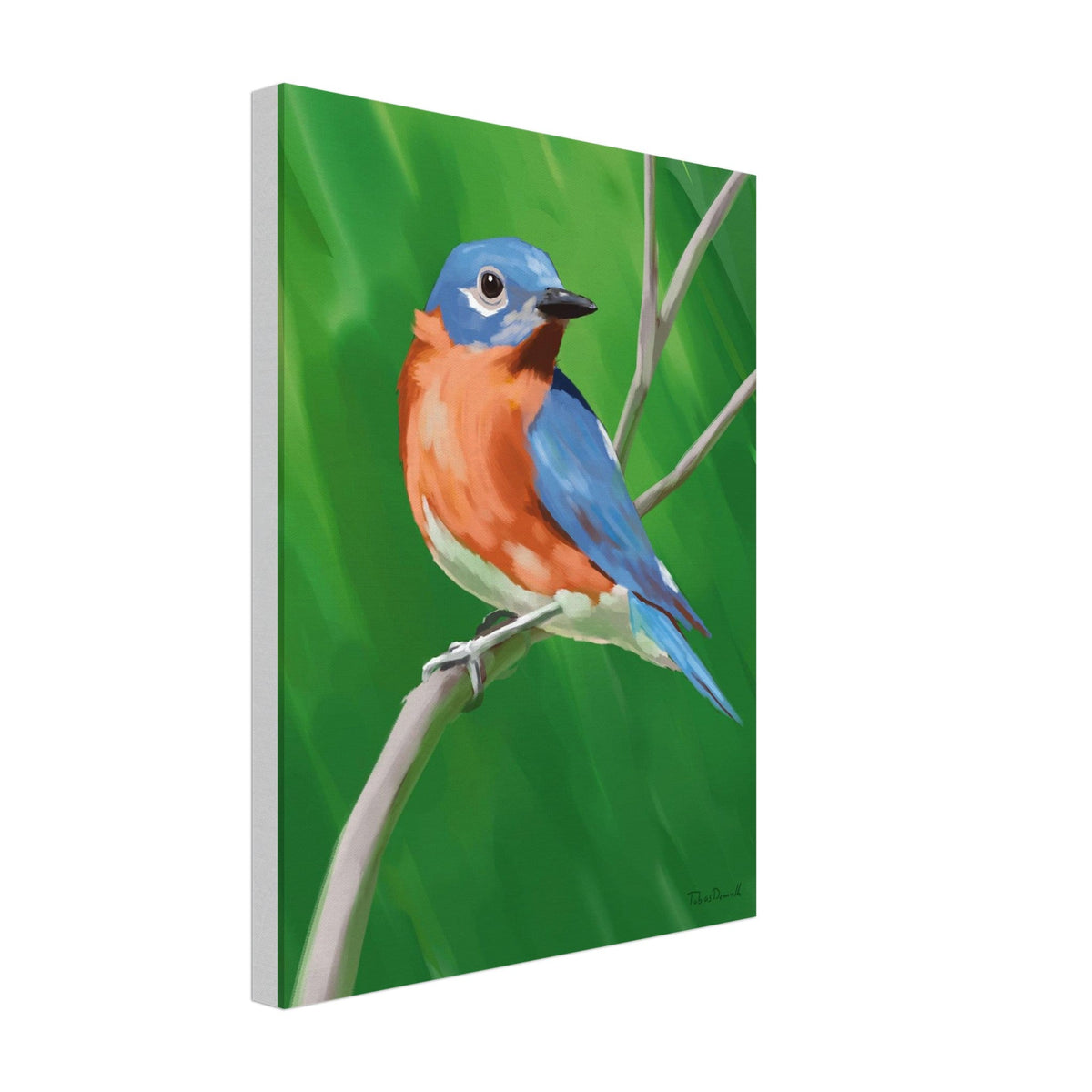 Eastern Bluebird - Artprint - Tobias Demuth Studio - Print Material