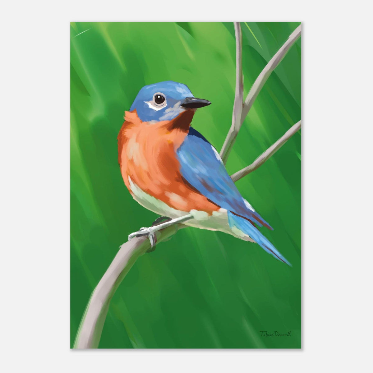 Eastern Bluebird - Artprint - Tobias Demuth Studio - Print Material