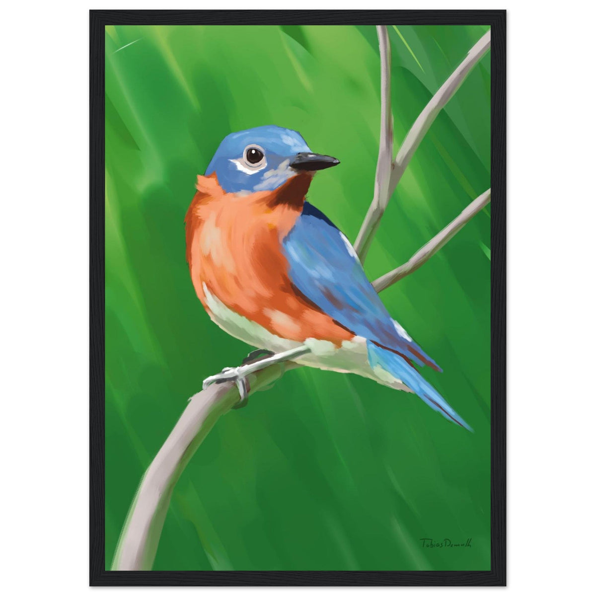 Eastern Bluebird - Artprint - Tobias Demuth Studio - Print Material