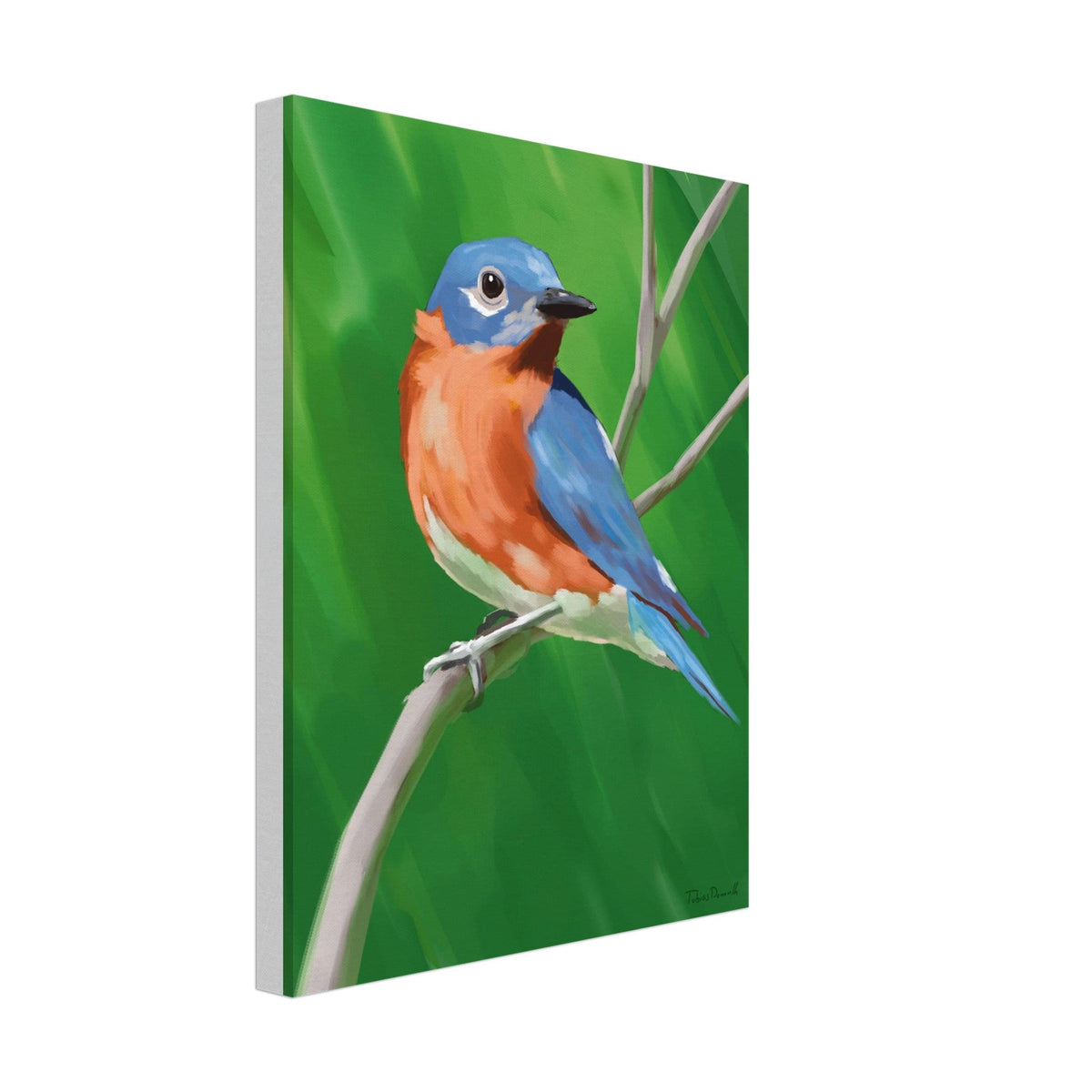 Eastern Bluebird - Artprint - Tobias Demuth Studio - Print Material