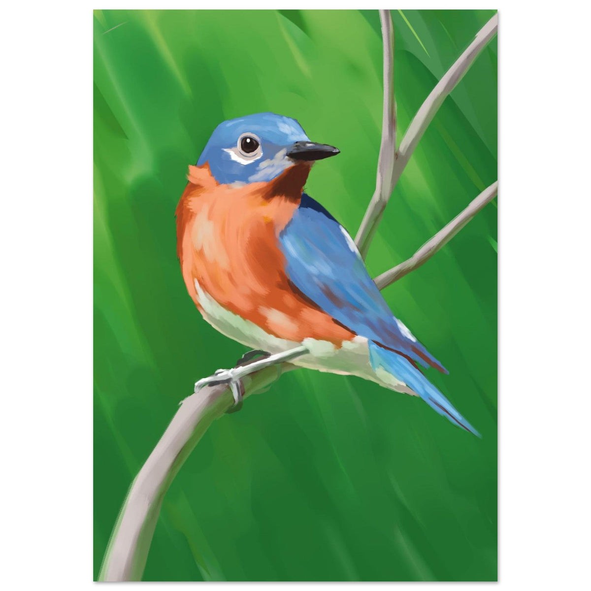 Eastern Bluebird - Artprint - Tobias Demuth Studio - Print Material