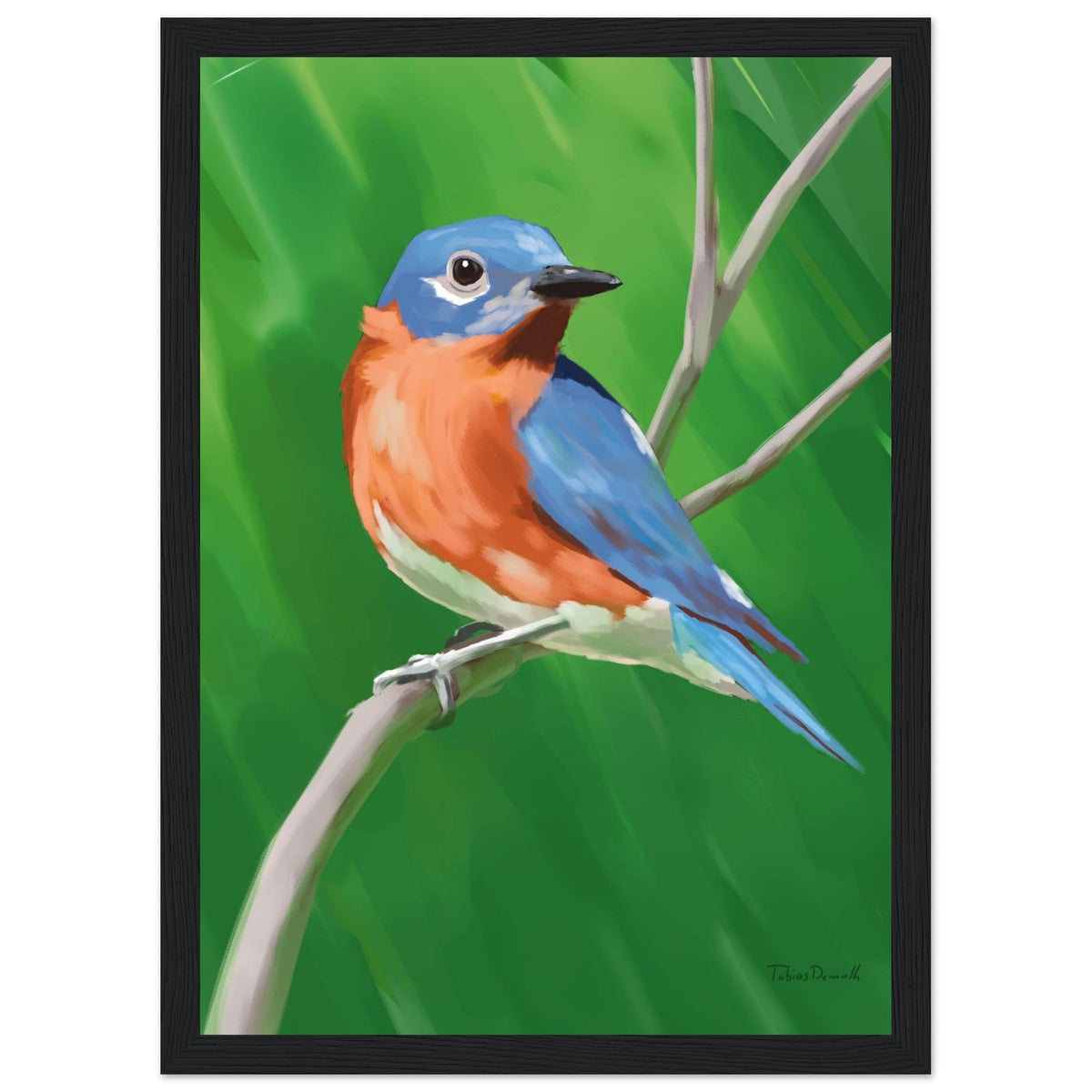 Eastern Bluebird - Artprint - Tobias Demuth Studio - Print Material