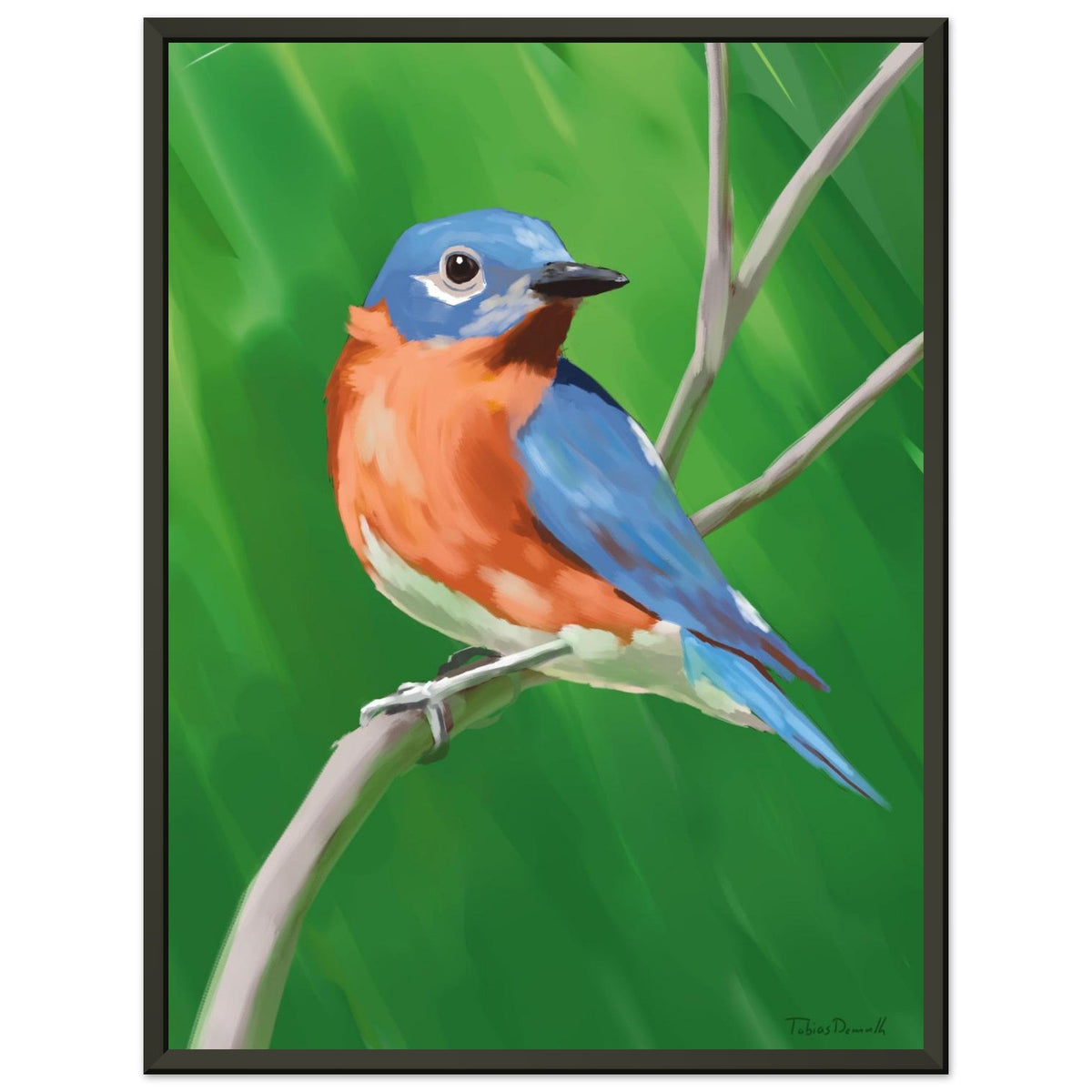 Eastern Bluebird - Artprint - Tobias Demuth Studio - Print Material