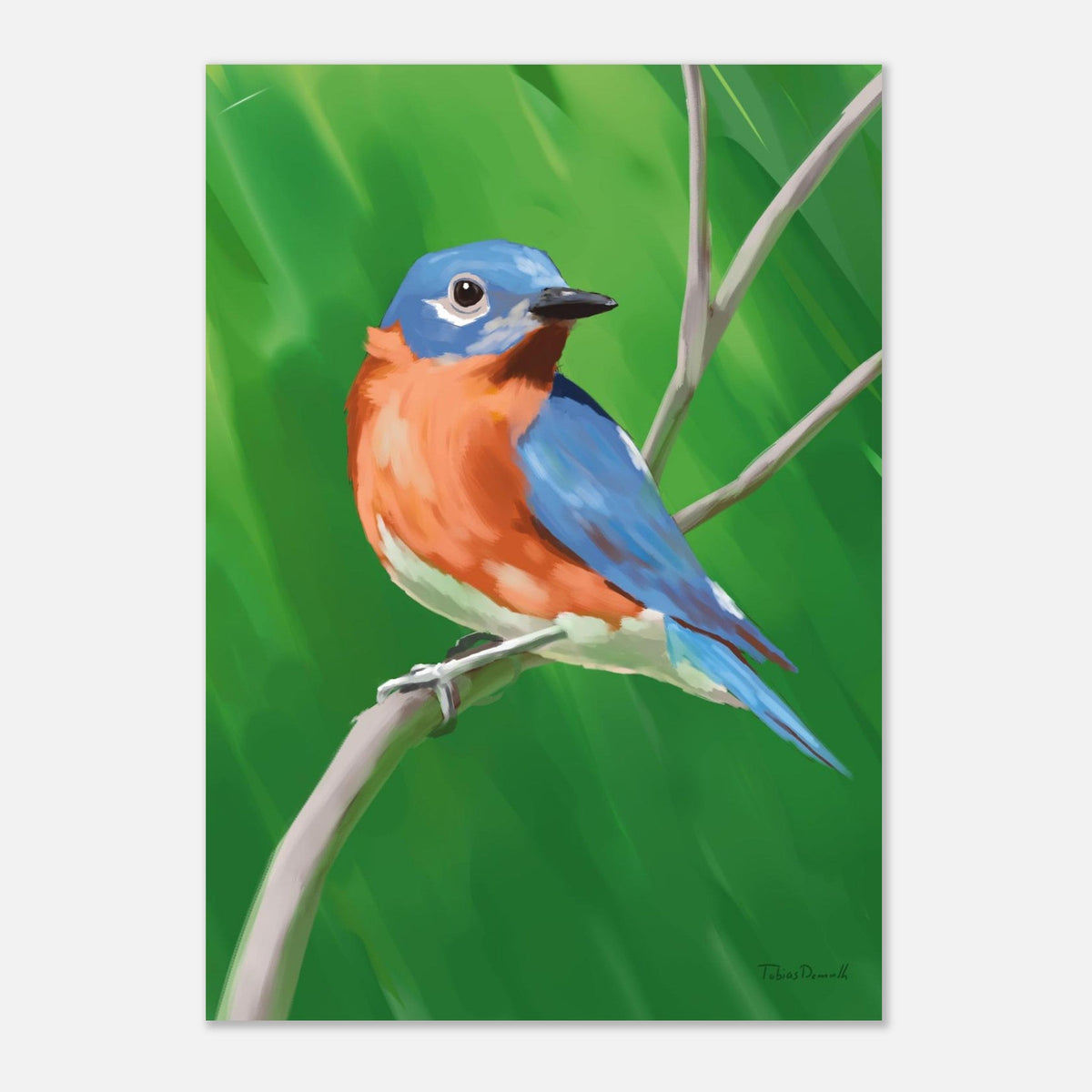 Eastern Bluebird - Artprint - Tobias Demuth Studio - Print Material